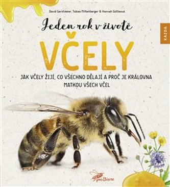Jeden rok v životě včely - Jak včely žijí, co všechno dělají a proč je královna matkou všech včel