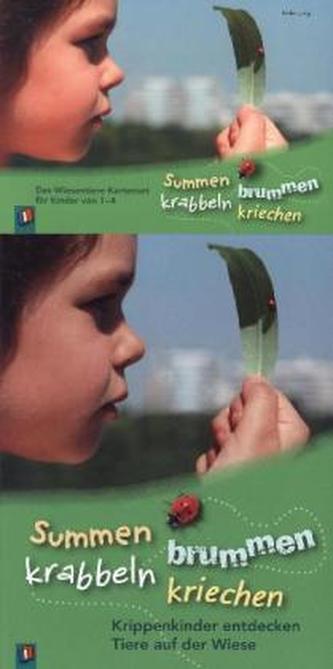 Paket - Summen, brummen, krabbeln, kriechen, m. 20 Fotokarten