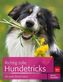 Richtig tolle Hundetricks