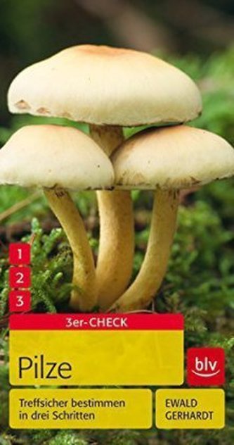 Pilze