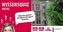 Wissensquiz Wesel (Spiel)