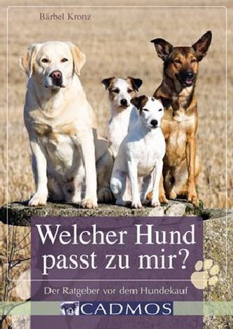 Welcher Hund passt zu mir?