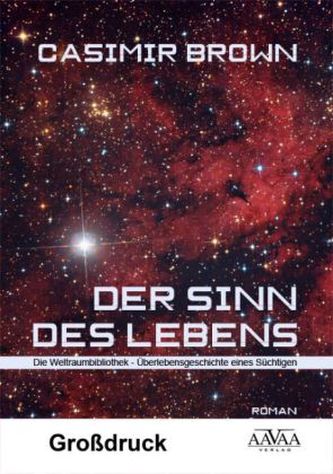 Der Sinn des Lebens - Großdruck