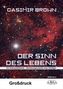 Der Sinn des Lebens - Großdruck