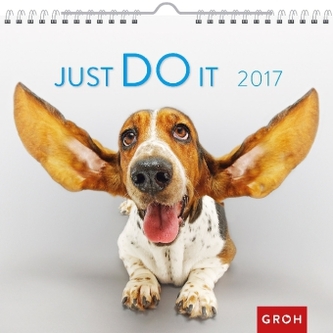 Just do it 2017