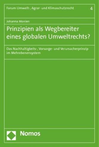 Prinzipien als Wegbereiter eines globalen Umweltrechts?