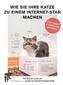 Wie Sie Ihre Katze zum Internet-Star machen und damit stinkreich werden