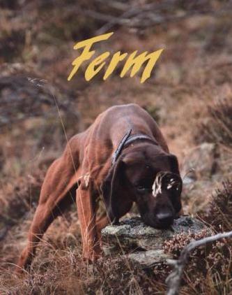Ferm