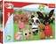 Puzzle Maxi 24 dielikov Bing Bunny Zábava v parku 60x40cm v krabici 40x26,5x4cm