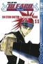Bleach - Ein Stern und ein streunender Hund