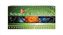 Mcgraw-Hill Encyclopedia of Science & Technology, 20 Vols.