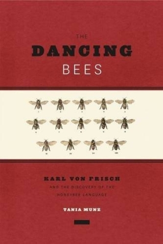 The Dancing Bees