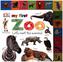 My First Zoo