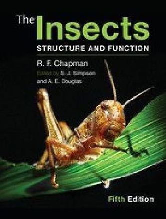 The Insects