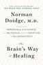 The Brain's Way of Healing