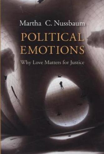 Political Emotions. Politische Emotionen, englische Ausgabe
