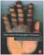 Alternative Photographic Processes