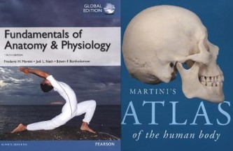 Fundamentals of Anatomy & Physiology