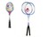 Badminton kov 2 pálky a 1 míček 3 barvy v síťce