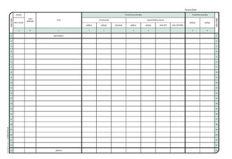 Daňová evidence podrobná pro plátce DPH, A4, 28 listů