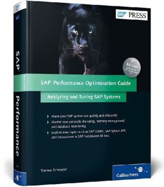 SAP Performance Optimization Guide