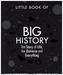 The Little Book of Big History
