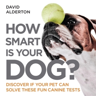 How Smart Is Your Dog?