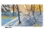 Natur Pur 2017