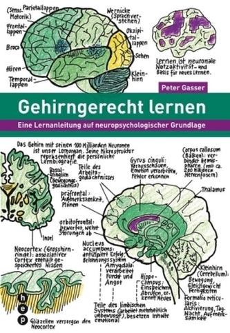 Gehirngerecht lernen