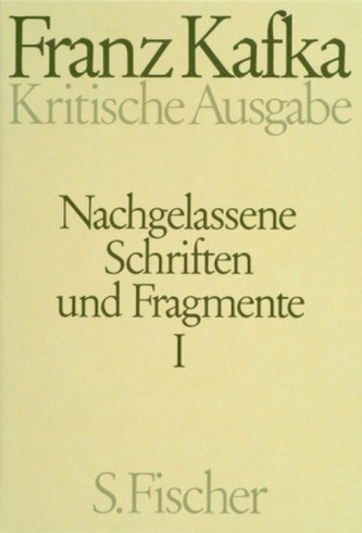 Nachgelassene Schriften und Fragmente, Kritische Ausgabe, 2 Bde.. Tl.1