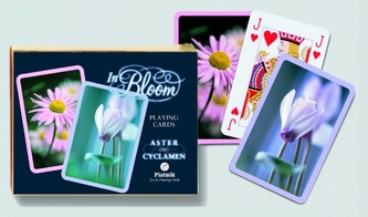 Kanasta - Astry a brambořík