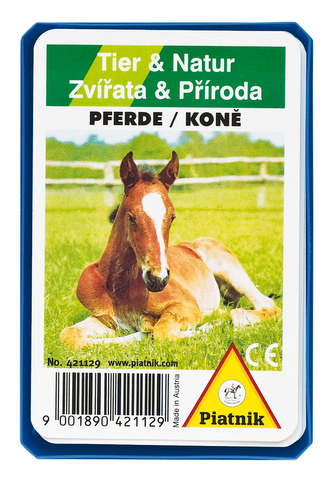 Kvarteto - Kone (plastová krabička) (CZ)