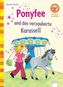 Ponyfee und das verzauberte Karussell