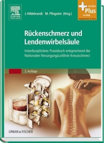 Rückenschmerz und Lendenwirbelsäule