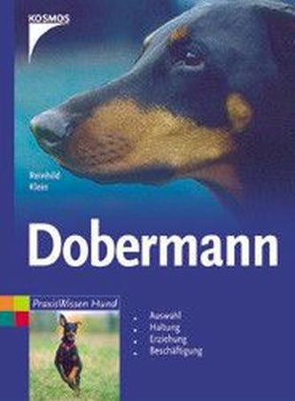Dobermann