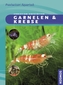 Garnelen & Krebse