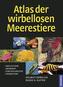 Atlas der wirbellosen Meerestiere
