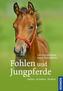 Fohlen und Jungpferde