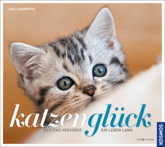 Katzenglück