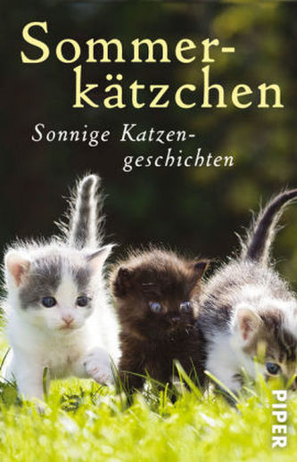 Sommerkätzchen