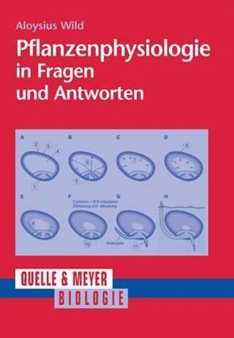 Pflanzenphysiologie in Fragen und Antworten
