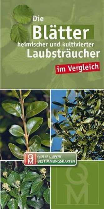 Die Blätter heimischer und kultivierter Laubsträucher im Vergleich, Leporello