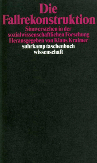 Die Fallrekonstruktion