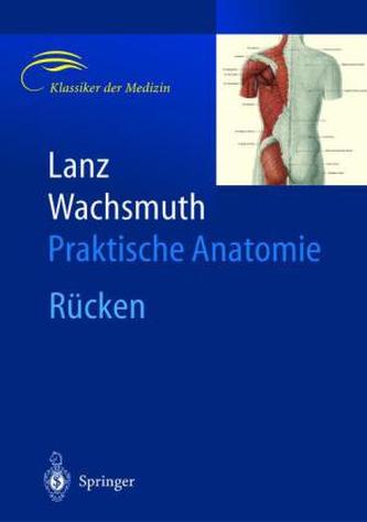 Rücken