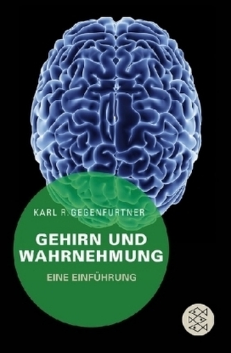 Gehirn und Wahrnehmung