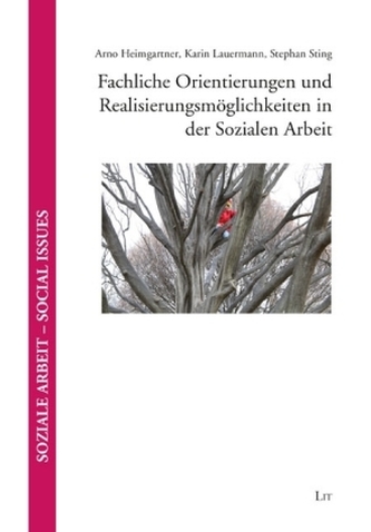 Fachliche Orientierungen und Realisierungsmöglichkeiten in der Sozialen Arbeit