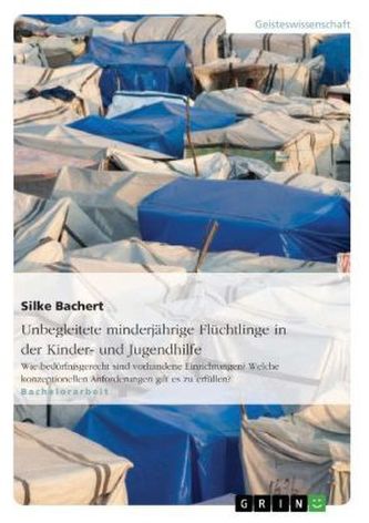 Unbegleitete minderjährige Flüchtlinge in der Kinder- und Jugendhilfe
