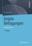 Delphi-Befragungen
