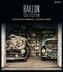 Baillon Collection