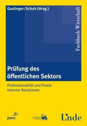 Prüfung des öffentlichen Sektors